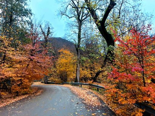 عکس تفرجگاه گلشن