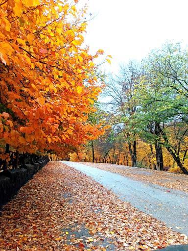 عکس تفرجگاه گلشن