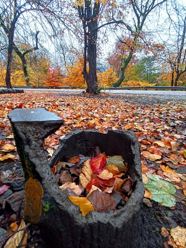 عکس تفرجگاه گلشن