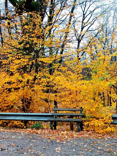 عکس تفرجگاه گلشن