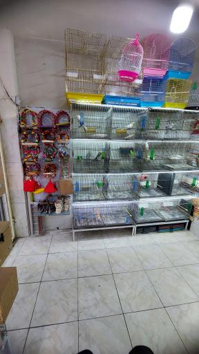 عکس خانه پرنده سهند