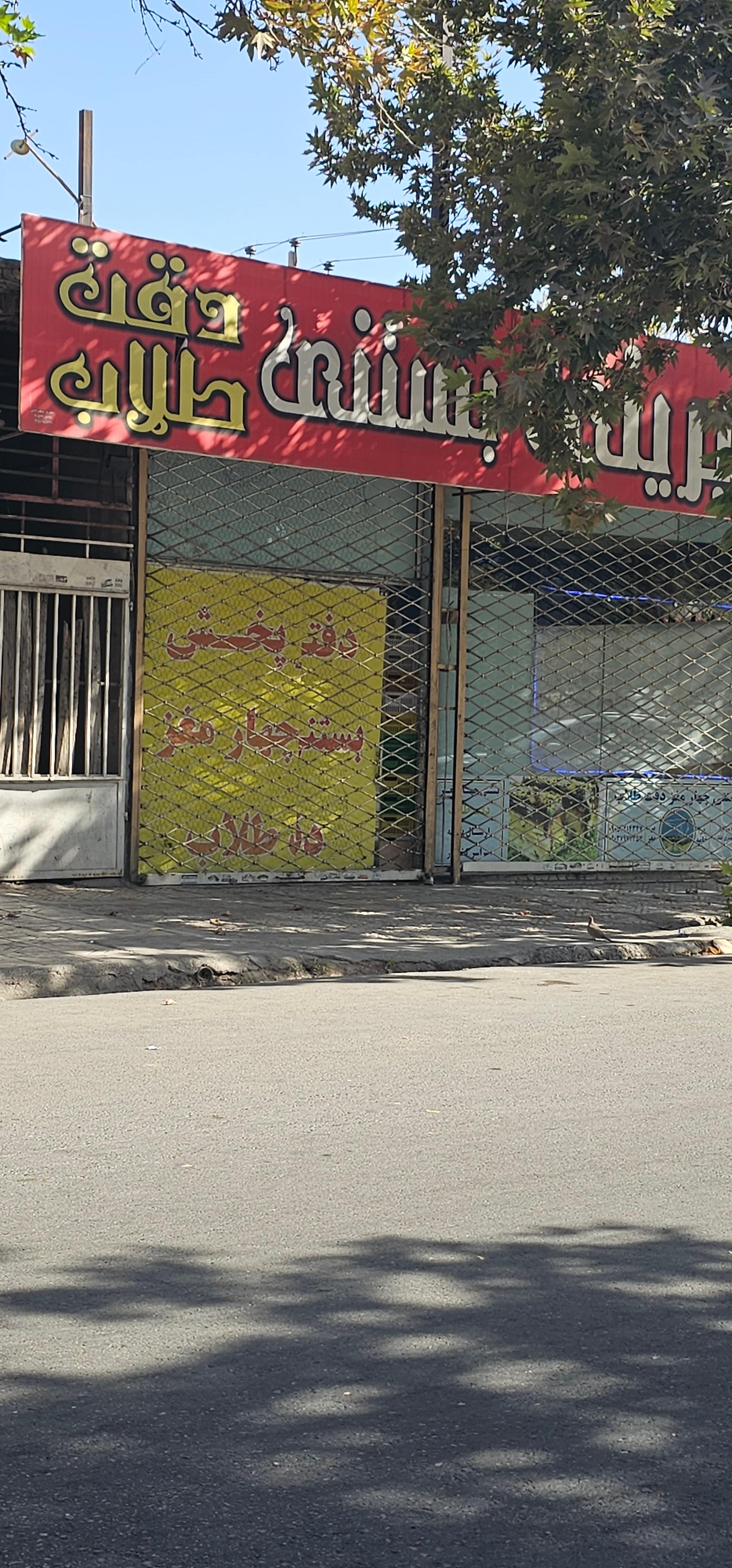 عکس کیک و بستنی دقت طلاب