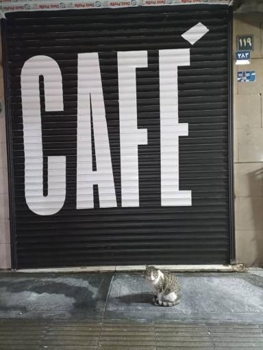 عکس بن کافه