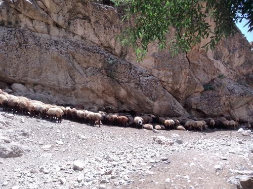 عکس روستای کریم آباد