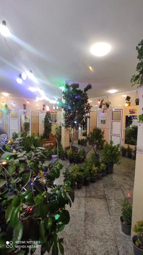 عکس سرویس بهداشتی