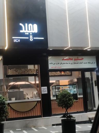 عکس حلیم مجید 