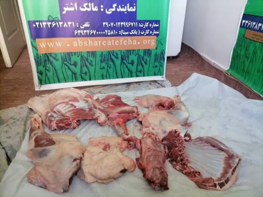 موسسه خیریه آبشار عاطفه ها