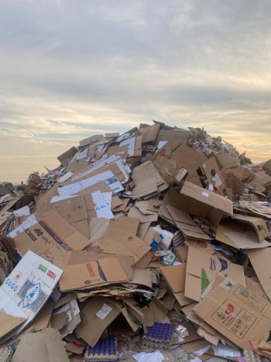 عکس پرس کارتن سلحشور 