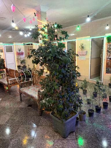 عکس سرویس بهداشتی