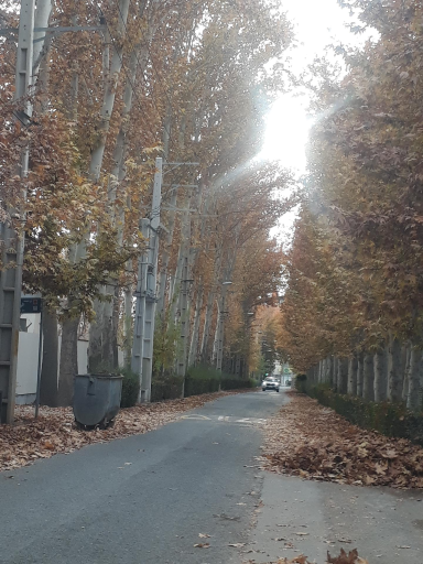 عکس باغ ویلا عمو شهریار