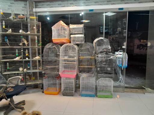 عکس دهکده پرندگان