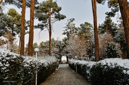 عکس باغ ملی