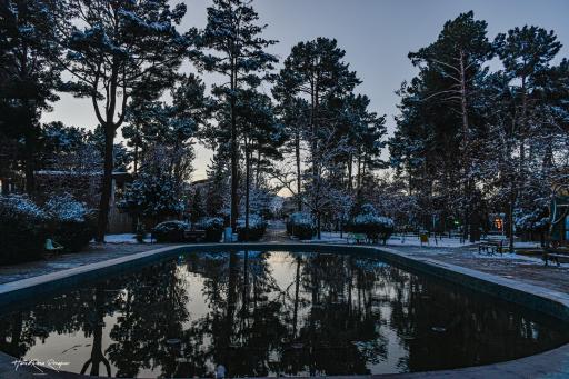 عکس باغ ملی