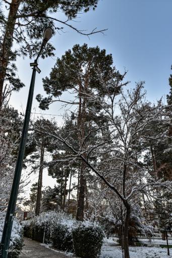 عکس باغ ملی