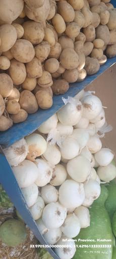 عکس ارزنسرای میوه خدابنده 