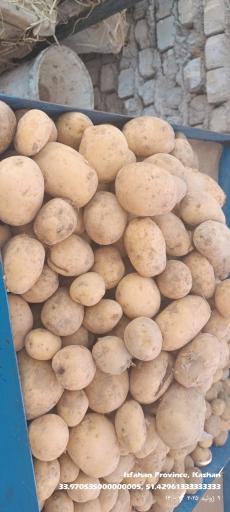 عکس ارزنسرای میوه خدابنده 