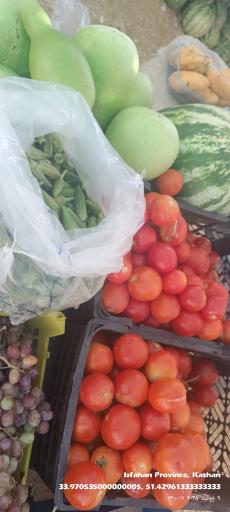 عکس ارزنسرای میوه خدابنده 