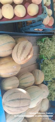 عکس ارزنسرای میوه خدابنده 