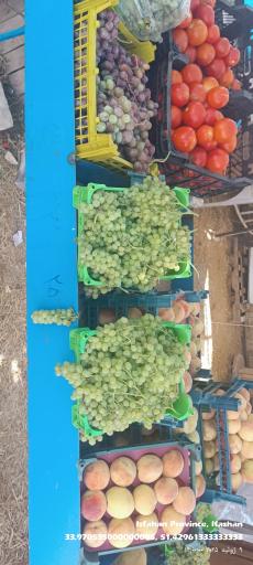 عکس ارزنسرای میوه خدابنده 