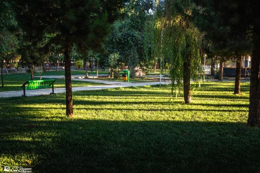 عکس باغ ملی