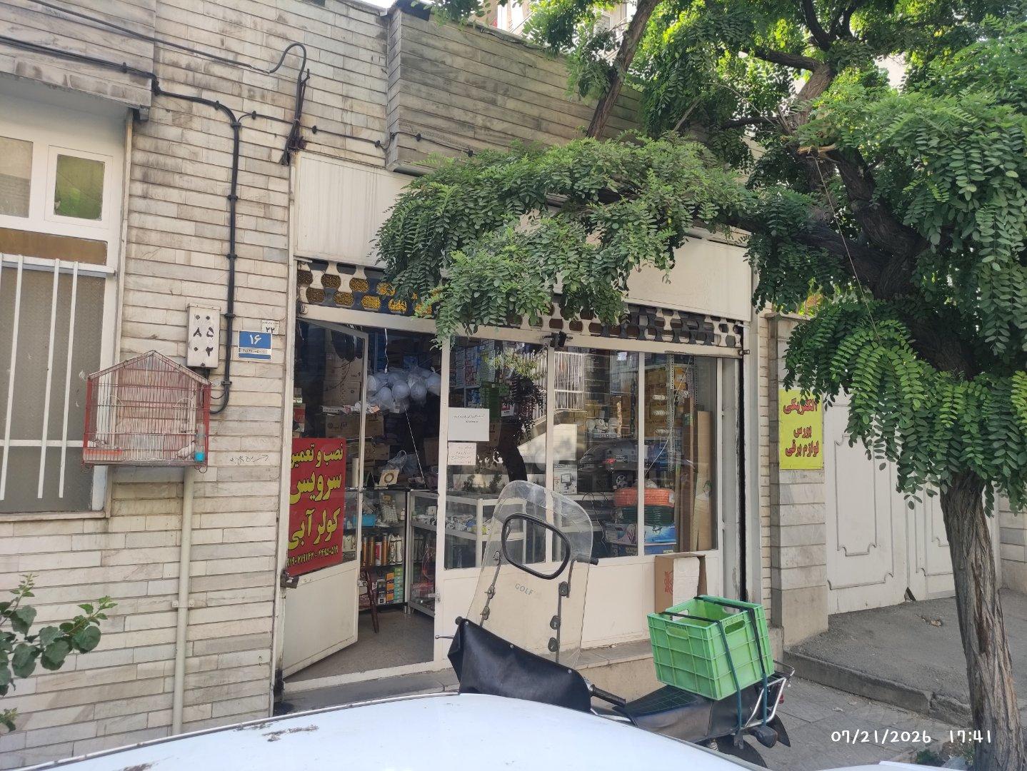 عکس دند الکتریک