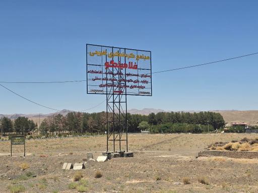 عکس فلامینگو