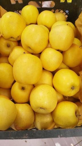 عکس میوه فروشی امیر فروت