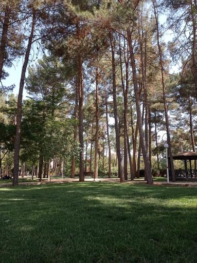 عکس باغ ملی