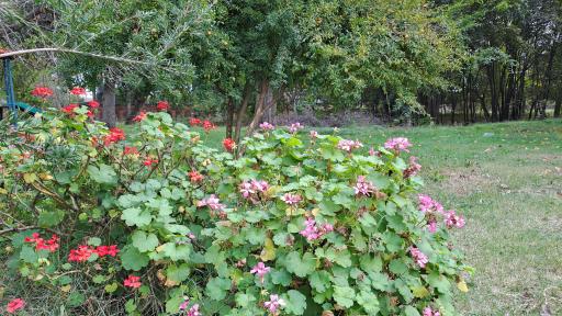 عکس مجتمع آموزشی رفاهی گمرک