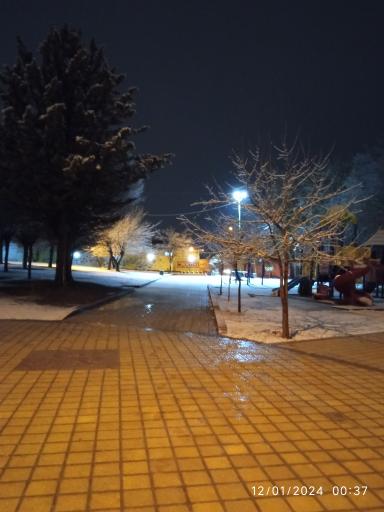 عکس پارک دانشجو