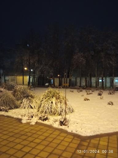 عکس پارک دانشجو