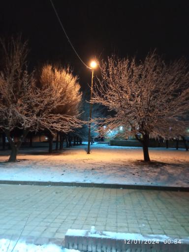 عکس پارک دانشجو