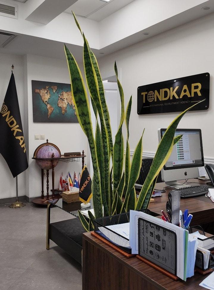 عکس موسسه کاریابی بین المللی تندکار