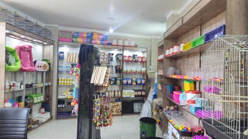 عکس شایلی پت شاپ