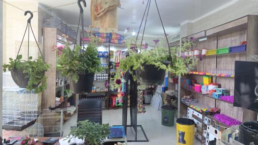 عکس شایلی پت شاپ