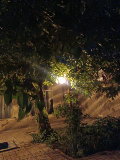 عکس اتاق فرار «سرپرست»