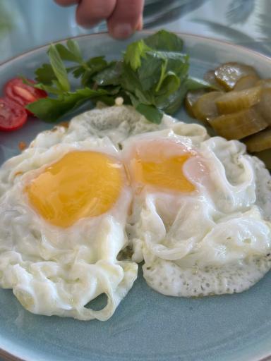 عکس رستوران سنگار