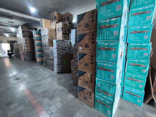 عکس سیسمونی کارنو بیبی