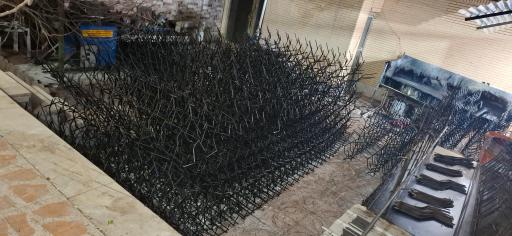 عکس حفاظ شاخ گوزنی سیرجان