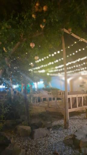 عکس کافه ژیکال