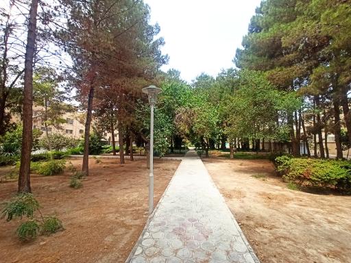 عکس بوستان گل نرگس