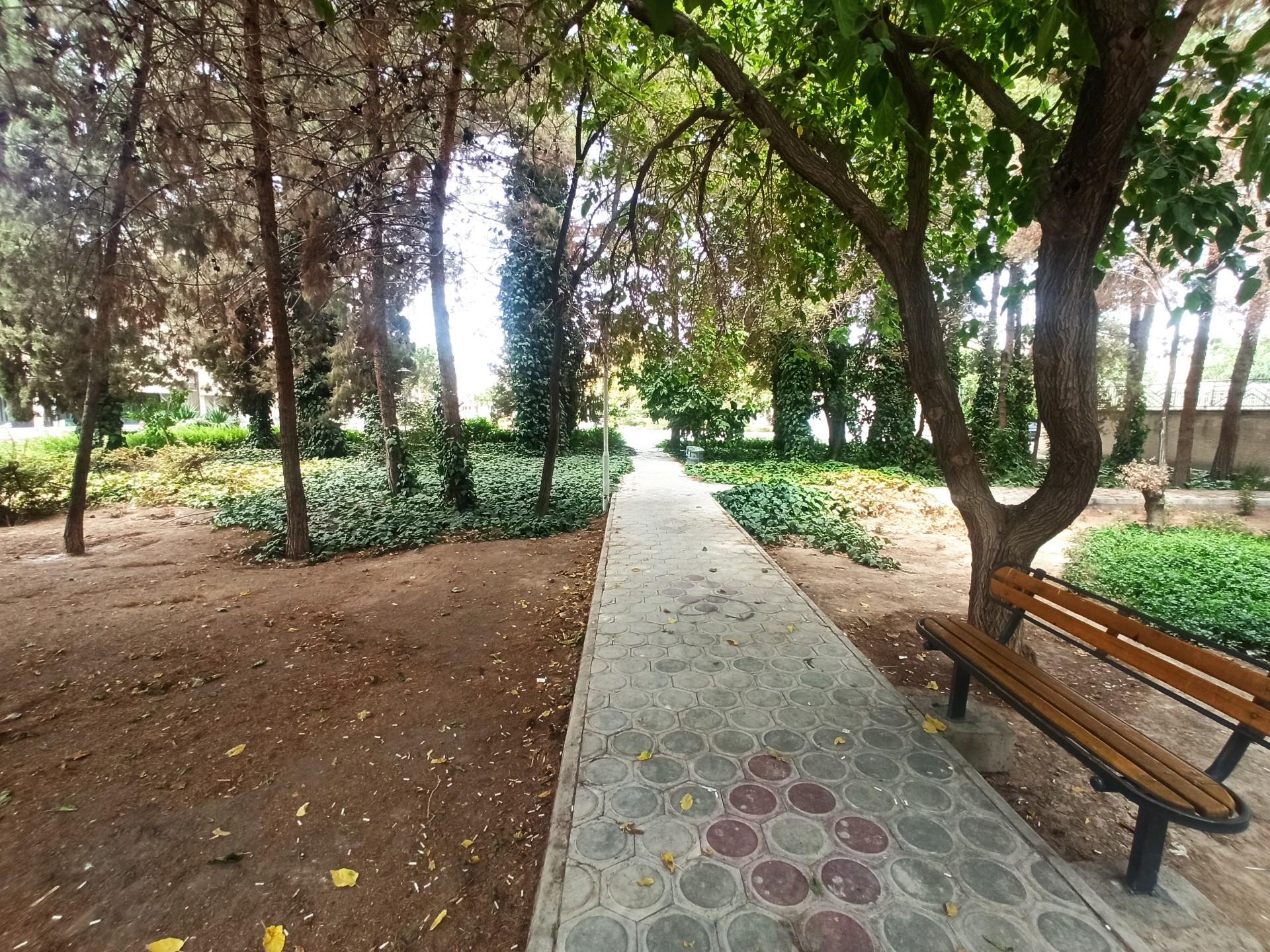 عکس بوستان گل نرگس