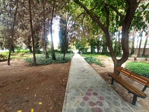 عکس بوستان گل نرگس
