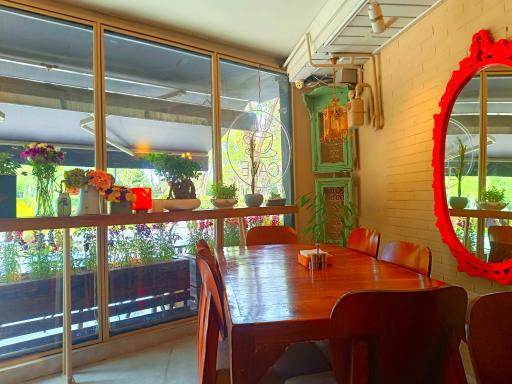 عکس غذای خانگی بهار نارنج