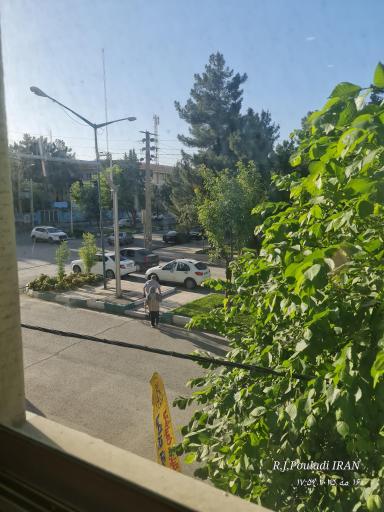 عکس کلینیک دامپزشکی دکتر چراغی