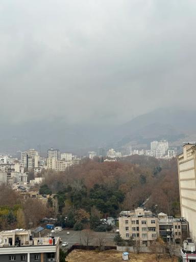 عکس مجتمع نگین ارغوان