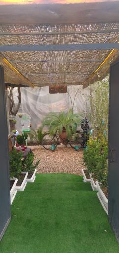 عکس کافه یدونه