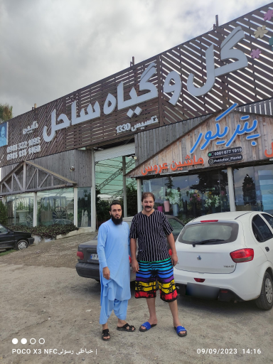 عکس گل و گیاه ساحل