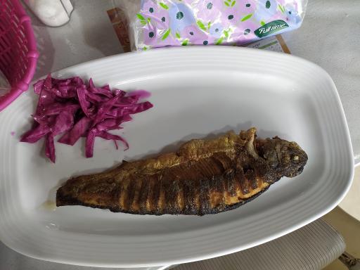 عکس آشپزخانه گل افروز 