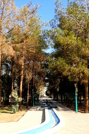 عکس پارک اشکی